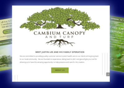 Cambium Canopy