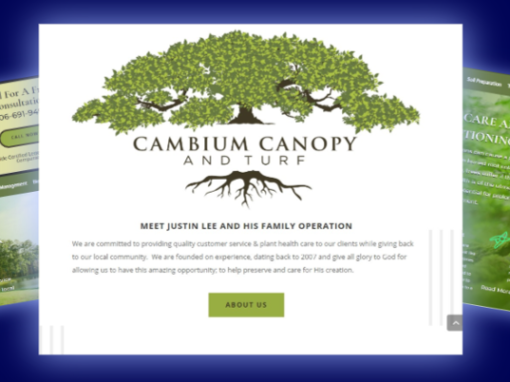 Cambium Canopy